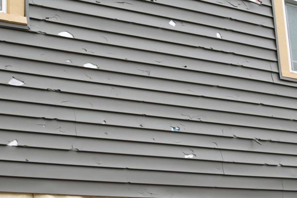 Best Composite Siding  in Nashville, MI