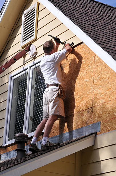 Best Residential Vinyl Siding Installation  in Nashville, MI