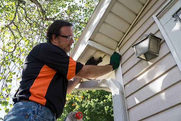 Affordable siding repair and maintenance services in Nashville, MI